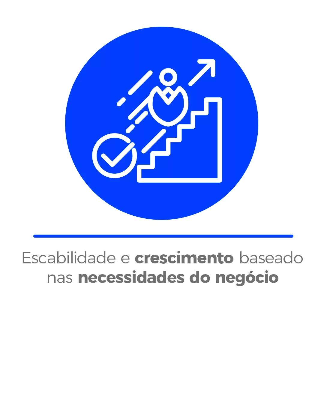 imagem6.jpg